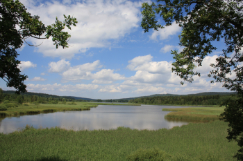 Dolejší Padrťský rybník. Foto: Jaroslav Hodrment