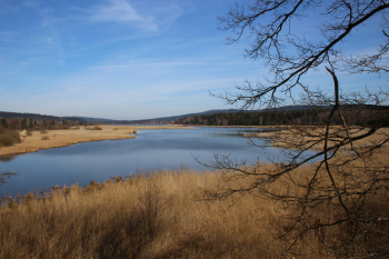 Dolejší Padrťský rybník