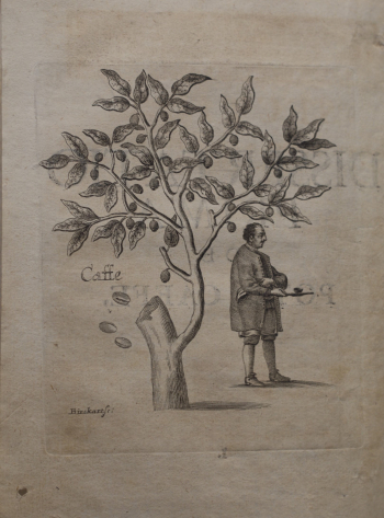 Káva podle knihy Stritzlova tchána, profesora a lékaře Leonarda Ferdinanda Meisnera. Zdroj: SOkA Příbram Káva podle knihy Stritzlova tchána, profesora a lékaře Leonarda Ferdinanda Meisnera. Zdroj: SOkA Příbram