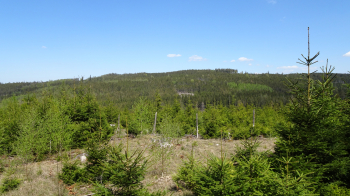 Pohled na dvojvrchol Koruny z lokality U Spáleného dubu. Vlevo západní, vpravo východní vrchol. Foto (2×): Jaroslav Hodrment