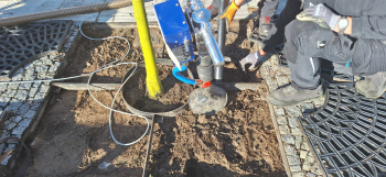 Půdní injektáž pomáhá stromům lépe odolávat nepřiznivým vlivům jako zasolenost, sucho a nedostatečný kořenový prostor. Z realizace na náměstí T. G. Masaryka. Foto: Grown