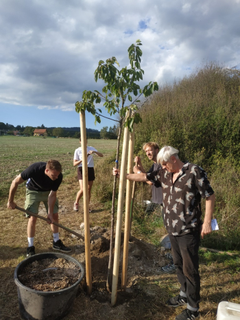 Společné sázení stromu na obnovované cestě mezi Vysokou Pecí a Kozičínem. Foto: Stanislav D. Břeň Společné sázení stromu na obnovované cestě mezi Vysokou Pecí a Kozičínem. Foto: Stanislav D. Břeň