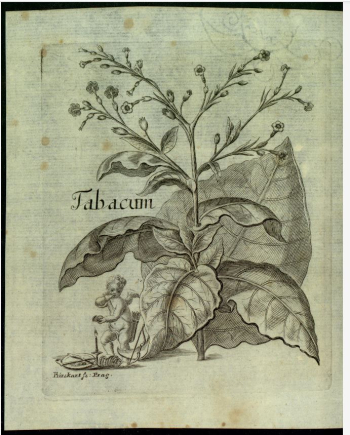 Tabák Tabák